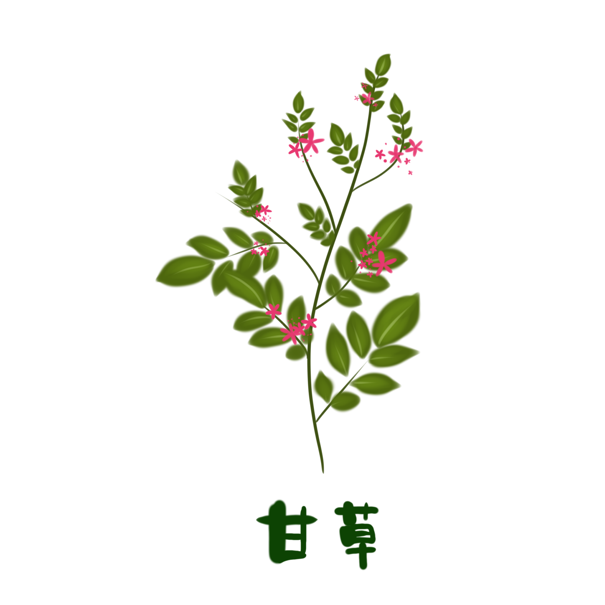 甘草進(jìn)口報(bào)關(guān)清關(guān)知識(shí)