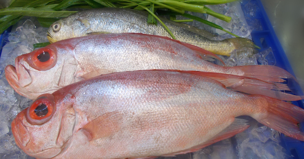 冰鮮魚進口需要提供哪些單證資料？