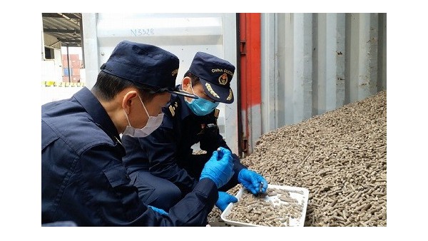 轉(zhuǎn)載:海關快驗泰國木薯顆粒進口報關助復工