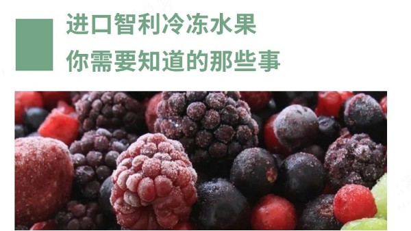 進口智利冷凍水果你需要知道的那些事