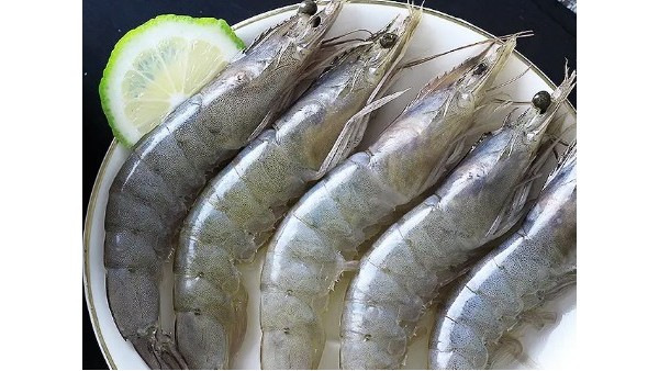 美國冷凍對(duì)蝦佛山通關(guān)代理一站式報(bào)關(guān)要求