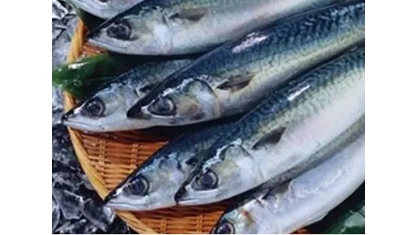 冷凍水產(chǎn)品深圳灣口岸報(bào)關(guān)常見問題