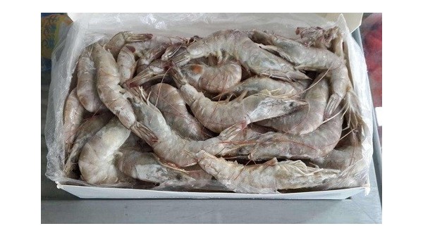 煙臺港口成功進(jìn)口海鮮花咲蟹四千公斤