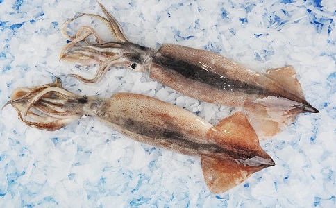 魷魚進(jìn)口報關(guān)